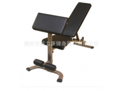 定制多功能哑铃凳健身椅仰卧板小飞鸟凳家用运动健身器材运动器材图3
