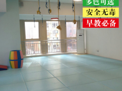 幼儿园早教亲子亚光儿童早教PU软体地垫 宝宝爬行垫体操软包图2