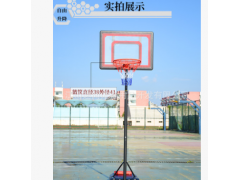 儿童可升降可移动篮球架篮球筐户外家用小孩幼儿园可移动篮球架图3