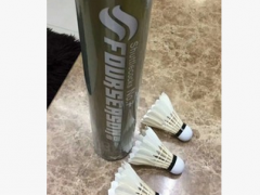 鹅黑洗白驼背球最耐打的羽毛这球高品质低价格飞行稳定速度规范图2