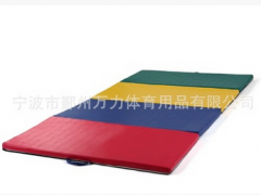 环保PU革，运动垫子，体操垫图2
