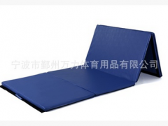 环保PU革，运动垫子，体操垫图2