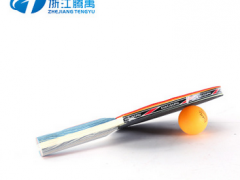 直销乒乓球拍 品牌双面反胶初学送球 学生球拍体育用品一件代发图2
