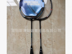 美国品牌EVERLAST授权生产羽毛球拍图3