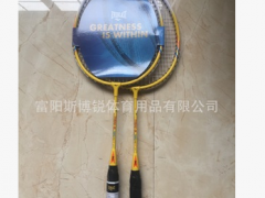 美国EVERLAST品牌授权产品儿童羽毛球拍图3