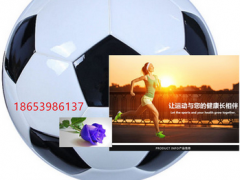新款热粘合无缝足球厂家批量生产加厚皮革耐踢成年 青少年专用图2