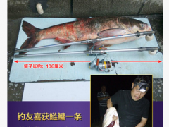雷明顿6代4.5米阿帕奇超硬碳素长节远投竿花白鲢鱼钓大头鱼竿海竿图3