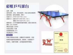 乒乓球台 家庭 比赛 训练 专用 经典小彩虹图2