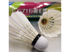 帝弗特十二支装羽毛球耐打耐磨休闲运动鹅弯毛羽毛球厂家直供批发图2