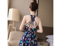 泳衣女保守连体裙式遮肚显瘦小胸聚拢泳装性感韩国学生温泉游泳衣图2
