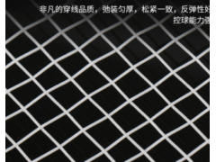 正品铝合金羽毛球拍 业余初学者专业羽毛球拍一体拍批发图3