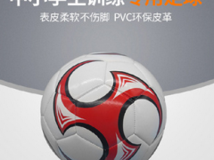 足球厂家批发5号pvc机缝柔软足球儿童4号中小学生训练足球图2