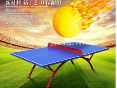 天津瀚宇室外乒乓球台318B乒乓球桌标准室外户外SMC面板图1