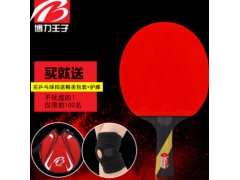 乒乓球拍护膝乒乓拍单拍一包套厂家直销来样定制图3