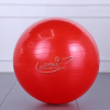 厂家直销一件代发75#瑜伽球 环保料球 防爆耐用性价比高充气体操