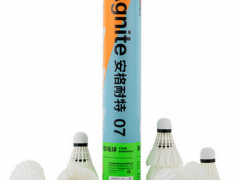 得力F2202羽毛球安格耐特F2202羽毛球拍12个筒装体育用品图2