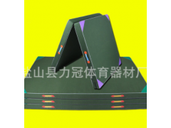 供应 帆布体操垫舞蹈训练垫海绵垫仰卧起坐垫瑜伽体操折叠垫图2