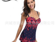 欧美爆款女式分体加大码肥婆比基尼速卖通亚马逊WISH爆款碎花泳衣图2