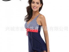 2018女式裙摆分体比基尼条纹泳衣欧美爆款外贸泳装速卖通爆款图2