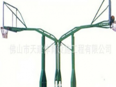 天建帕斯高厂家生产优质燕式双向篮球架 室内室外篮球场篮球架图3