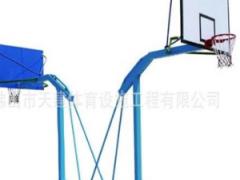 天建帕斯高厂家生产优质燕式双向篮球架 室内室外篮球场篮球架图2