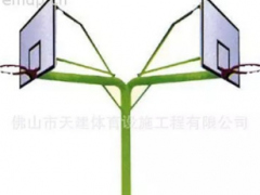 天建帕斯高厂家生产海燕式大笔钢化板篮球架室内室外篮球场篮球架图3
