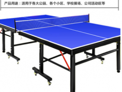 佛山柏狮供应室外SMC乒乓球台 学校小区工厂室内外乒乓球台批发图3