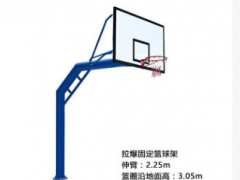 柏狮厂家直销移动海燕式篮球架 固定式 移动式 学校 工厂篮球架批图3