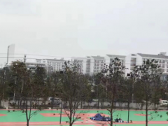 混合型塑胶跑道 环保橡胶跑道材料 塑胶环保跑道材料生产厂水性硅pu篮球场地面施工 塑胶篮球场材料 硅PU 塑胶球场材料图3