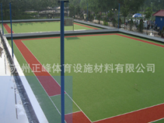 苏州 上海人造草坪门球场 人造草坪门球场 人工草皮 人造草图2