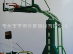 厂家供应 电动液压篮球架 比赛训练专用篮球架CX-LJ1002图2