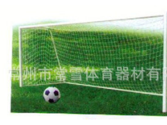 厂家供应 电动液压篮球架 比赛训练专用篮球架CX-LJ1002长期供应 便携式移动足球球门 定做各样标准球门CX-LJ301图3