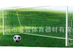 厂家供应 电动液压篮球架 比赛训练专用篮球架CX-LJ1002长期供应 便携式移动足球球门 定做各样标准球门CX-LJ301图2