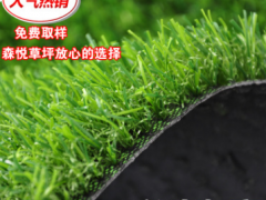 2.5CM加密加厚草坪高档会所景观装饰专用草坪人工草坪假草图2