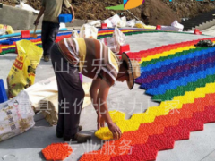 乘着滑雪追捕清风旱雪滑道 塑料仿真滑道 滑草道设备耐磨耐冲击图2