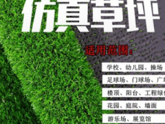 批发人造草坪 仿真草坪幼儿园 户外地毯墙体装饰景观绿化草皮图3