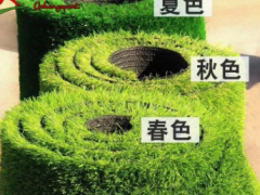 批发人造草坪 仿真草坪幼儿园 户外地毯墙体装饰景观绿化草皮图2