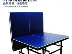 厂家直销乒乓球台 可折叠室内 比赛专用乒乓球桌 加工定制批发图2