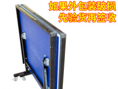 儿童乒乓球台 室内儿童乒乓球桌 家用折叠桌迷你折叠乒乓球台厂家图3