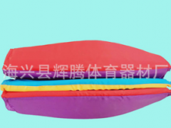 幼儿园早教多彩企鹅球儿童亲子户外活动运动会体智能感统训练包邮图2