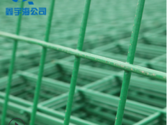 养殖荷兰网 圈地圈玉米荷兰网 果园防偷盗图2
