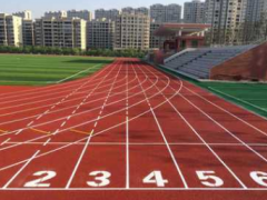 供应新国标塑胶跑道材料 塑胶操场铺设 聚氨酯操场建设图2