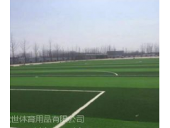 幼儿园人工草坪足球场 优世体育 合理的价格,贴心的服务,15年行业经验.图3