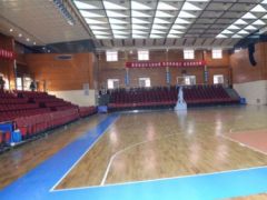 纽墩豆纯实木生产厂家直销仿古浅灰色复古家用抗滑公用图2