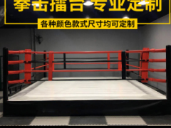 拳击擂台比赛标准落地拳台拳击台散打擂台简易擂台图3