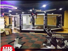 八角笼MMA搏击比赛训练 六角铁笼圆笼格斗搏击拳击散打擂台拳击台图3