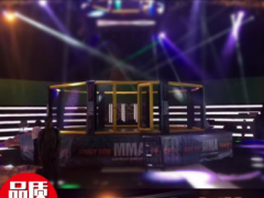 八角笼MMA搏击比赛训练 六角铁笼圆笼格斗搏击拳击散打擂台拳击台图2