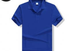 男装纯棉polo衫定制工作服翻短袖t恤定做广告衫文化批发订做logo图2