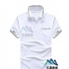纯棉短袖polo衫定制活动工作服广告衫翻领T恤定做夏季印绣logo