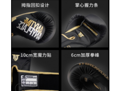 工厂一件代发THROWDOWN仕尔道拳击手套成人散打训练自由搏击拳套图2
